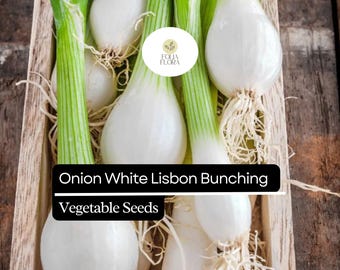 Lisbon Bunching Onion Seeds | 250mg Non-GMO Heirloom Scallions