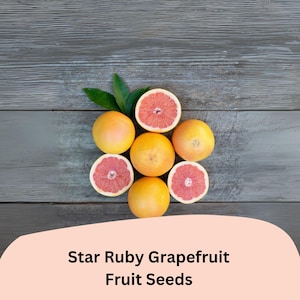 May include: Star Ruby Grapefruit Fruit Seeds. A close-up of six grapefruit halves arranged in a circle on a gray wooden surface. The grapefruit halves are cut in half and show the pink flesh inside.
