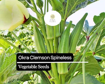 Semillas de okra sin espinas Clemson / Variedad tradicional, no transgénica, de alto rendimiento
