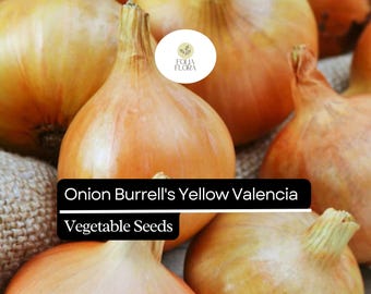 May include: Close-up of several yellow onions, with a few in the foreground and others in the background. The onions have a smooth, papery skin. Text on the image reads "Onion Burrell's Yellow Valencia Vegetable Seeds."