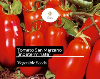 30 Seeds San Marzano Short Vine Tomato, Lycopersicon Esculentum, Indeterminate Heirloom Variety