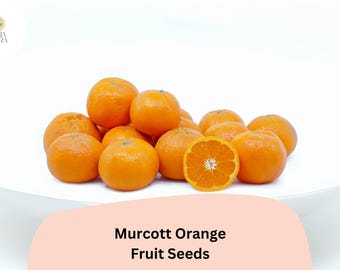 May include: A collection of bright orange Murcott oranges, some whole and one cut in half, displayed on a white surface. The image includes the text "Murcott Orange Fruit Seeds" in a peach-colored banner.
