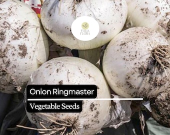 Ringmaster Onion Seeds | Crisp White Bulbs, Easy to Grow (250mg)