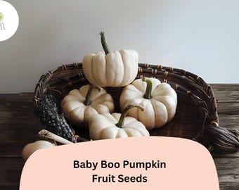 Baby Boo Pumpkin Seeds | Mini White Pumpkins, Compact Vines