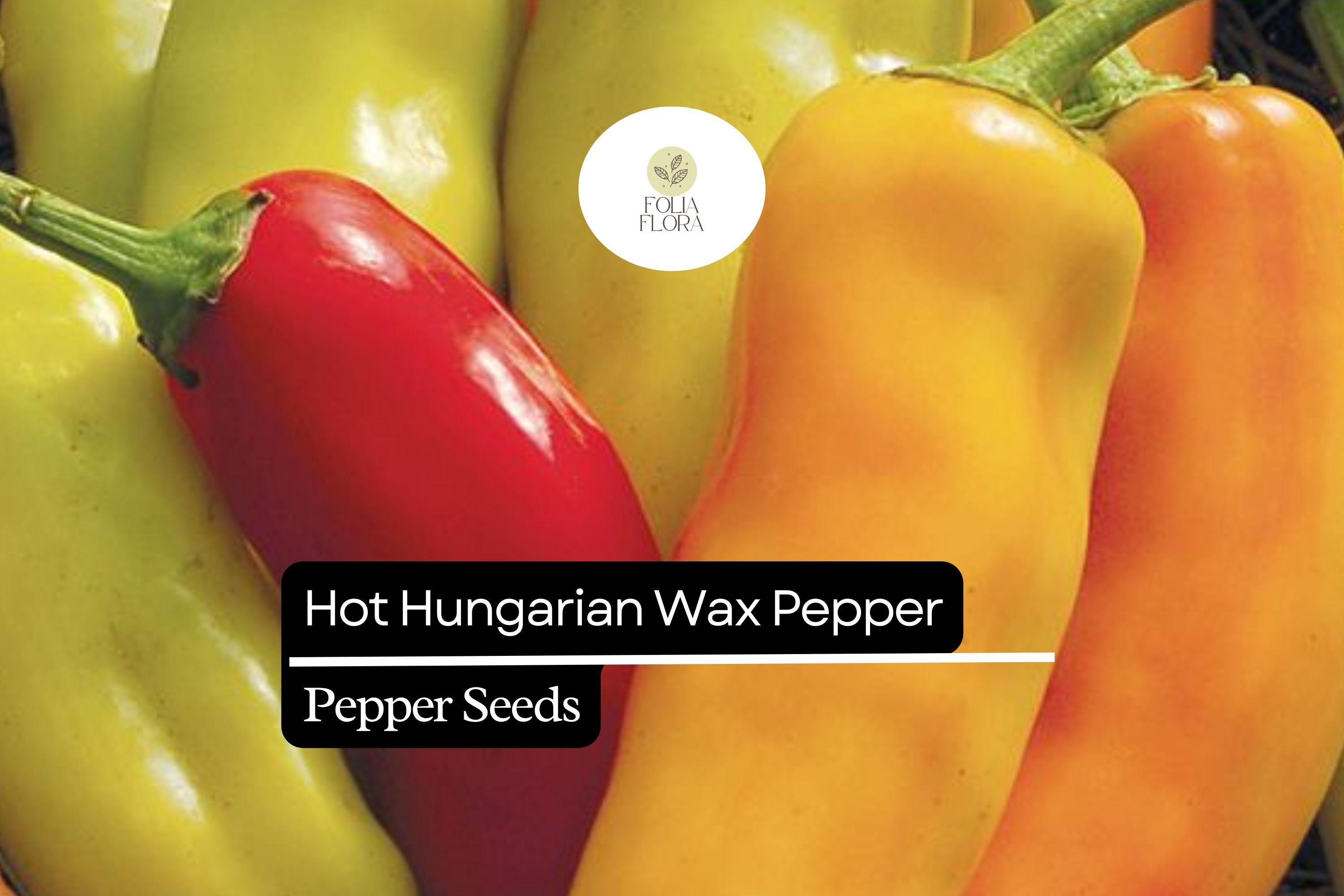 thumbnail image 2 of 25 Hungarian Hot Wax Pepper Seeds – Fresh Harvest – Easy Grow – For Gardens 2 of 5