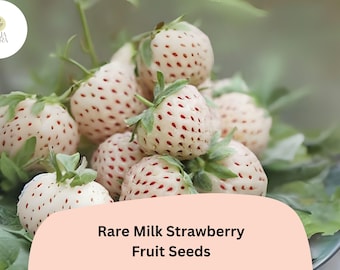 200 White Wonder Strawberry Seeds - Everbearing Climbing Strawberry Plants For Home Garden, Sweet & Perennial