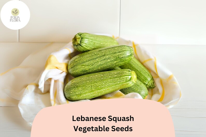 FoliaFlora Lebanese Cousa Squash Seeds - Thumbnail 3