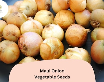 Maui Onion Seeds | Sweet, Mild Flavor for Grilling & Salads