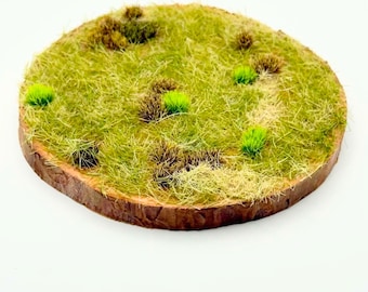 Grassland Terrain B OOAK Handmade Diorama Hand Painted 5" Base