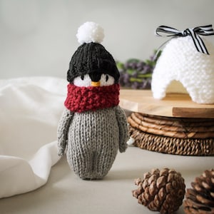 Pocket Buddies No6 - STRICKANLEITUNG
