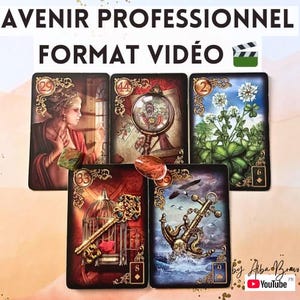 Guida professionale (20-25 minuti)