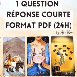 1 Frage 24 Stunden, schnelle Antwort (3 Karten) PDF-Format