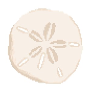 May include: A beige sand dollar with a star-shaped pattern in the centre.