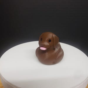 Labrador Retriever Jeep Duck