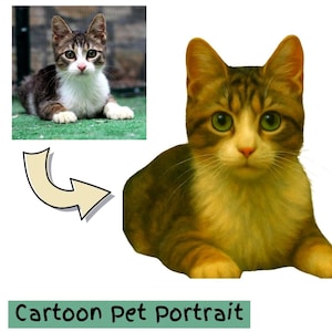 Cartoon Pet Portrait, Custom Pet Portrait, Cartoon Portrait from Photo, Cartoon Dog Portrait, Cartoon Cat, Full Body, Digital Download