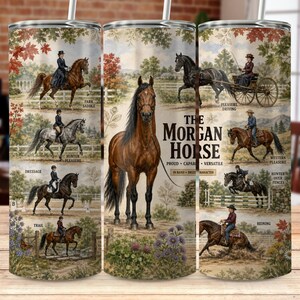 Pode incluir: Um copo cilíndrico com palhinha apresentando uma colagem de cavalos Morgan em várias disciplinas equestres. O design inclui o texto The Morgan Horse, Proud, Capable, Versatile, In Hand, Breed Character, e etiquetas para Park Saddle, Pleasure Driving, Hunter Pleasure, Dressage, Western Pleasure, Hunter Over Fences e Reining.