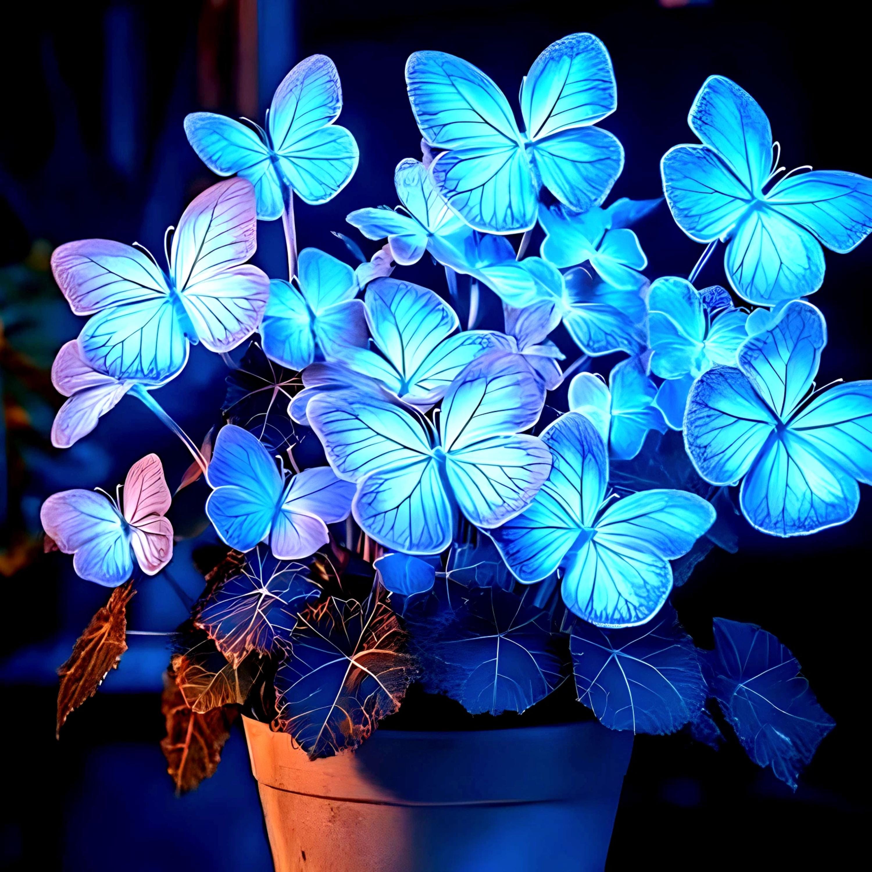 50 Heirloom Blue Butterfly Coleus Seeds | Rare Ornamental Foliage | Vibrant Shade Plant