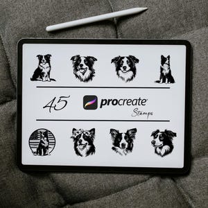 Pode incluir: Uma ilustração digital de 45 selos de cão border collie preto e branco para o aplicativo Procreate. Os selos apresentam diferentes poses e expressões do cão.