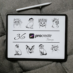 European Burmese Cat Procreate Stamps, Cute Cats Stamp, Cat Breed Procreate, Procreate Kitten Brush, Cat Tattoo Stamp, Cute Kitty Stamps Set