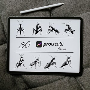 May include: A digital illustration of 30 black praying mantises in various poses. The illustration is labelled "30 procreate stamps".