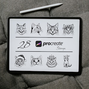 Highlander Shorthair Cat Procreate Stamps, Cute Cats Stamp, Cat Breed Procreate, Procreate Kitten Brush, Cat Tattoo Stamp, Cute Kitty Stamps