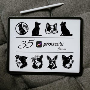 May include: A digital illustration of 35 Procreate stamps featuring black and white silhouettes of border collie dogs in various poses. The text "35 Procreate Stamps" is displayed on the screen.
