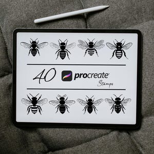 Bee Procreate Stamp Brushes, Honey Bee Stamp, Bee Procreate, Honey Bee Tattoo Procreate, Honeybee Clipart & Digital Stamps, Bumble Bee Pack