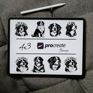 May include: A set of 8 black and white digital stamps featuring Bernese Mountain Dogs in various poses, some with flower crowns. The stamps are labeled "43 procreate Stamps".