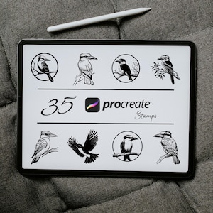 Op de afbeelding: Een digitale illustratie van 35 Procreate-stempels met zwart-wittekeningen van ijsvogels. De tekst "35 Procreate Stamps" wordt op het scherm weergegeven.