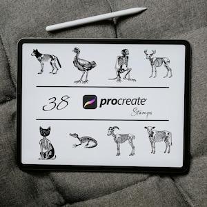 Animal Skeleton Procreate Stamps and Brushes | Animal Procreate Brushes, Procreate Tattoo Stamp, Skeleton Stamp, Animal Skeleton Brushes Set