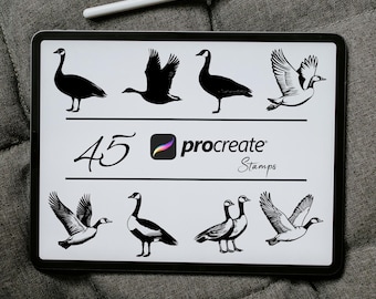 Canadian Geese Procreate Stamps: Brush Set Bundle (Digital Download)