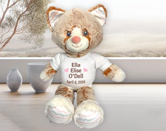 Personalized Stuffed Cat for Baby Girl or Boy - 12" Plush Kitten, Customized with name, birth date, heart color and text color