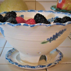 Free Shipping Berry Bowl with Our Texas Blue Bonnet Design