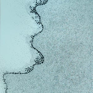 SLEEPING SHORELINE