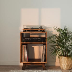 May include: A wooden record player stand with a turntable, stereo receiver, and vinyl records. The stand is brown with three shelves and a triangular base. A potted plant in a woven basket sits to the right, and a rug is on the floor.