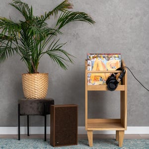 Schallplattenständer und Plattenspielerschrank aus Holz, Schallplattenaufbewahrung, Schallplattenregal