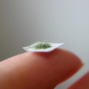 Realistic Miniature Static Grass for Dioramas & Models – 4ml Moss Grass for Diorama,  Forest Green