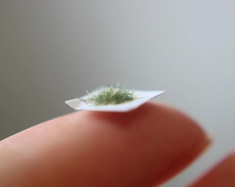 Realistic Miniature Static Moss Grass: Diorama & Model Scenery - Forest Green