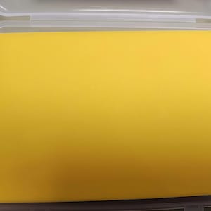 Puede incluir: Un recipiente de plástico transparente con un inserto rectangular amarillo brillante. El recipiente tiene una tapa con bisagras y el inserto llena la mayor parte del espacio interior.