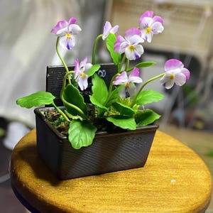 May include: A small, dark brown planter with a sign that reads "Mint Garden" is filled with a cluster of delicate purple and white flowers. The planter is sitting on a wooden surface.