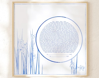 Jonquil Ketubah Rush Daffodil > Narcissus jonquilla ketuba in blueprint