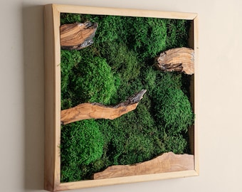 Preserved Moss Wall Art, Handmade Wooden Frame, Rustic Decor, New Apartment Gifts, Eco-Friendly Wall Panel, Living Moss Accent