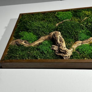 May include: A rectangular wall art piece featuring a vibrant green moss arrangement with a natural, weathered wood branch. The moss is lush and textured, set within a dark brown wooden frame, creating a natural, earthy aesthetic.