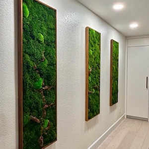 Vertical Bonsai Moss Wall Art, Dark Framed Preserved Moss, Rustic Decor ...