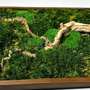 May include: A rectangular wooden framed piece featuring a vibrant green moss arrangement with a natural, weathered wood branch. The moss is a lush, textured ground cover, creating a natural, earthy aesthetic.