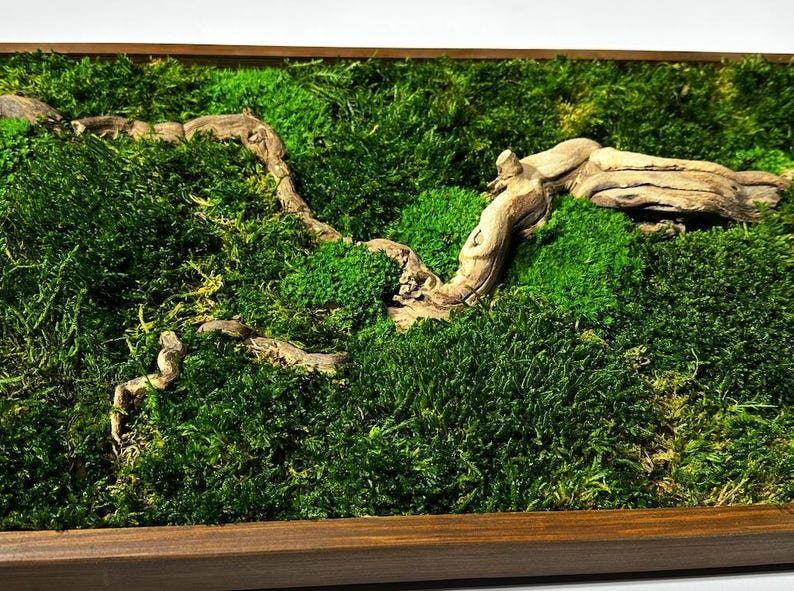 May include: A rectangular wooden framed piece featuring a vibrant green moss arrangement with a natural, weathered wood branch. The moss is a lush, textured ground cover, creating a natural, earthy aesthetic.