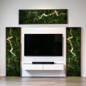 Horizontal Bonsai Moss Wall Art, Dark Framed Preserved Moss, Rustic Decor, Christmas Gifts, Eco-Friendly Wall Decor, Living Moss Wall Art