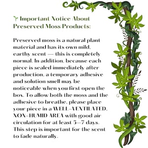 Horizontal Bonsai Moss Wall Art, Dark Framed Preserved Moss, Rustic Decor, Mother's Day Gifts, Eco-Friendly Wall Decor, Living Moss Wall Art image 17