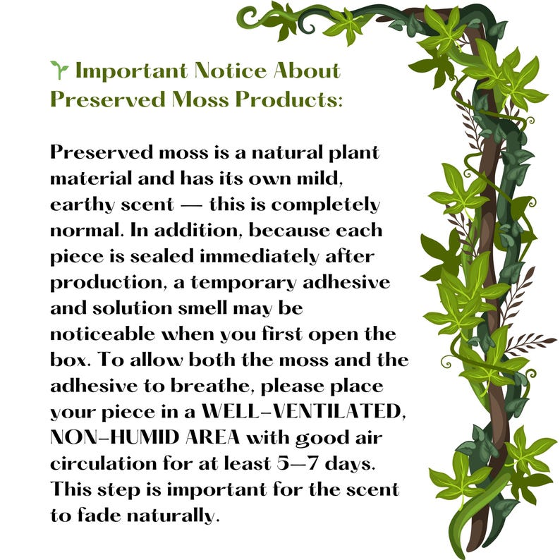 Horizontal Bonsai Moss Wall Art, Dark Framed Preserved Moss, Rustic Decor, Mother's Day Gifts, Eco-Friendly Wall Decor, Living Moss Wall Art image 17