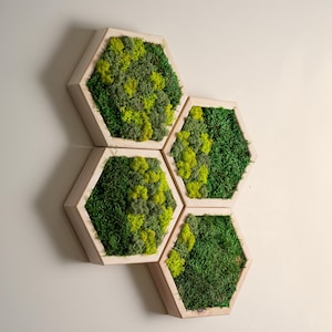 Hexagon Wall Moss Decor, Preserved Moss Art Framed, Honeycomb Wood And Moss Wall Art, Wall Hangings, Anniversary Gifts, Living Room Decor